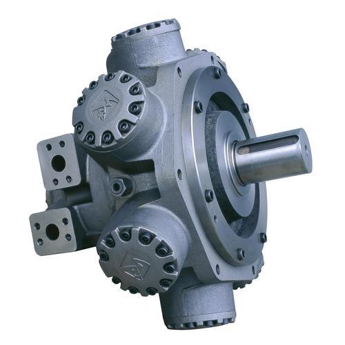 Staffa radial hydraulic motor